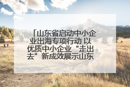 山东省启动中小企业出海专项行动 以优质中小企业“走出去”新成效展示山东产业发展新形象