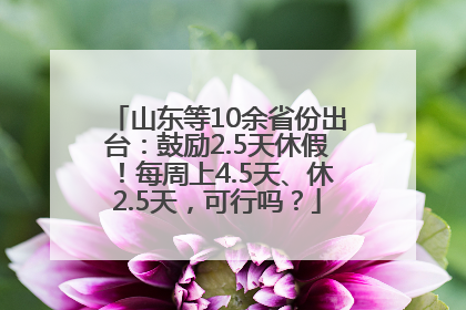 山东等10余省份出台：鼓励2.5天休假！每周上4.5天、休2.5天，可行吗？
