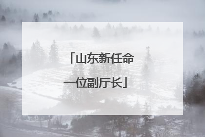 山东新任命一位副厅长