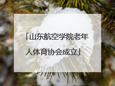 山东航空学院老年人体育协会成立