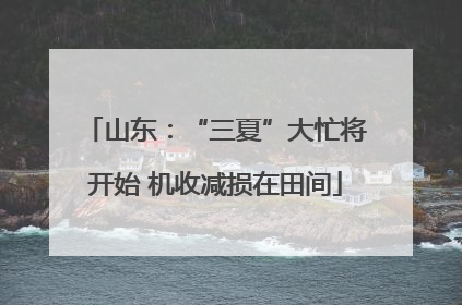 山东：“三夏”大忙将开始 机收减损在田间
