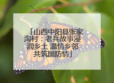 山西中阳县张家沟村：老兵故事浸润乡土 温情乡邻共筑国防情