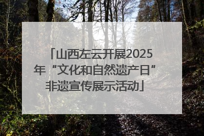 山西左云开展2025年“文化和自然遗产日”非遗宣传展示活动