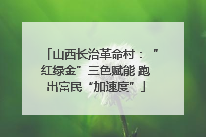 山西长治革命村：“红绿金”三色赋能 跑出富民“加速度”