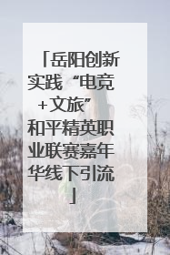 岳阳创新实践“电竞+文旅” 和平精英职业联赛嘉年华线下引流