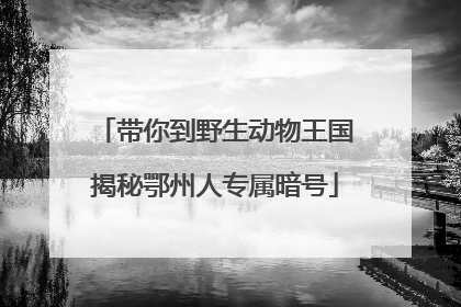 带你到野生动物王国揭秘鄂州人专属暗号