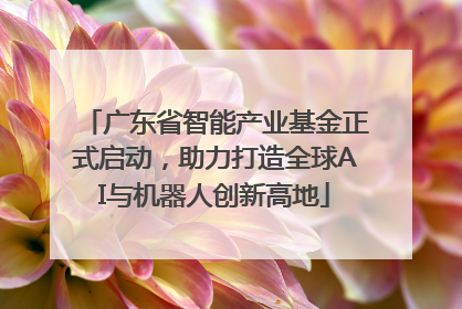 广东省智能产业基金正式启动，助力打造全球AI与机器人创新高地