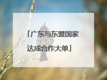 广东与东盟国家达成合作大单