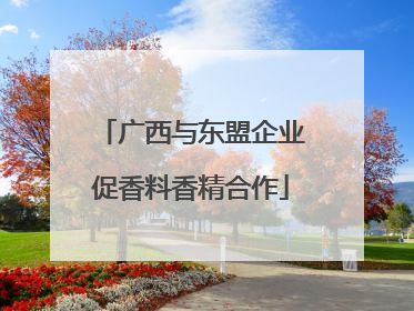 广西与东盟企业促香料香精合作