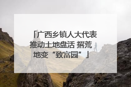 广西乡镇人大代表推动土地盘活 撂荒地变“致富园”