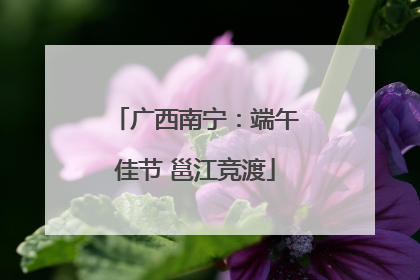 广西南宁：端午佳节 邕江竞渡