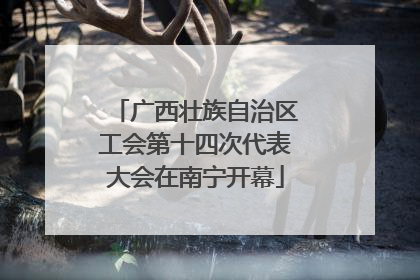 广西壮族自治区工会第十四次代表大会在南宁开幕