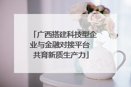 广西搭建科技型企业与金融对接平台 共育新质生产力