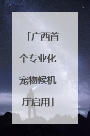 广西首个专业化宠物候机厅启用