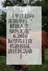 平江县向家镇举行“健康人生 绿色无毒”6.26国际禁毒日宣传进校园、进社区活动