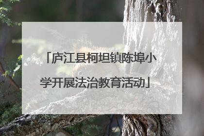 庐江县柯坦镇陈埠小学开展法治教育活动