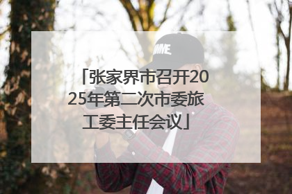 张家界市召开2025年第二次市委旅工委主任会议