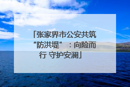 张家界市公安共筑“防洪堤”：向险而行 守护安澜