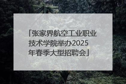 张家界航空工业职业技术学院举办2025年春季大型招聘会