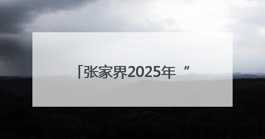 张家界2025年“5•29会员活动日”宣传服务活动暨托育服务宣传月活动启动