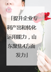 提升企业专利产出和转化运用能力，山东聚焦4方面发力