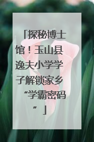 探秘博士馆！玉山县逸夫小学学子解锁家乡“学霸密码”