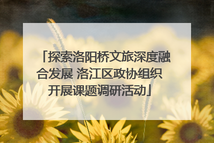 探索洛阳桥文旅深度融合发展 洛江区政协组织开展课题调研活动