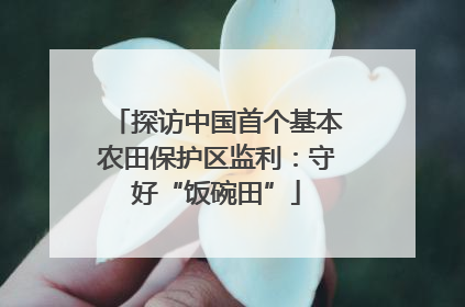 探访中国首个基本农田保护区监利：守好“饭碗田”