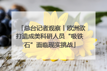 总台记者观察丨欧洲欲打造成美科研人员“吸铁石”面临现实挑战