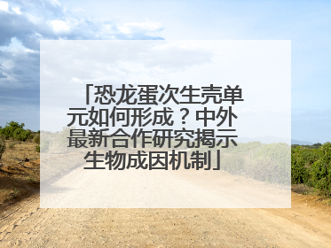 恐龙蛋次生壳单元如何形成？中外最新合作研究揭示生物成因机制