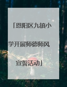 恩阳区九镇小学开展师德师风宣誓活动