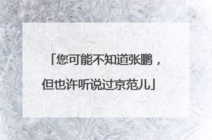 您可能不知道张鹏，但也许听说过京范儿