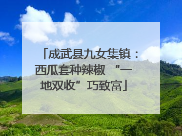 成武县九女集镇：西瓜套种辣椒 “一地双收”巧致富
