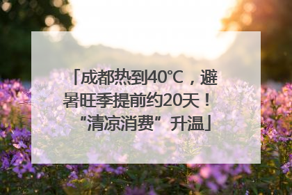 成都热到40℃，避暑旺季提前约20天！“清凉消费”升温