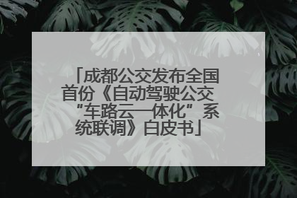 成都公交发布全国首份《自动驾驶公交“车路云一体化”系统联调》白皮书
