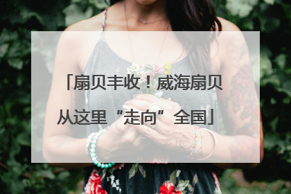 扇贝丰收！威海扇贝从这里“走向”全国