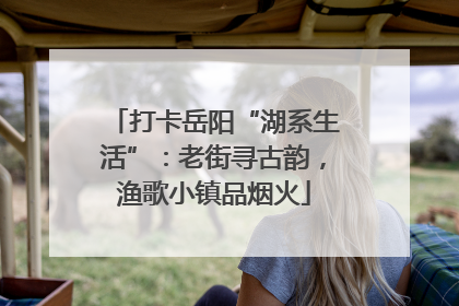 打卡岳阳“湖系生活”：老街寻古韵，渔歌小镇品烟火