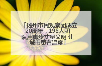 扬州市民观察团成立20周年，198人团队用脚步丈量文明 让城市更有温度