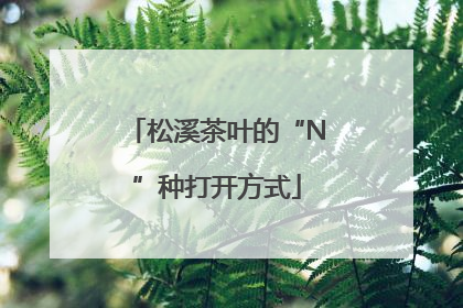 松溪茶叶的“N”种打开方式