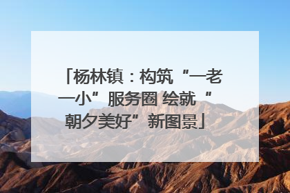 杨林镇：构筑“一老一小”服务圈 绘就“朝夕美好”新图景