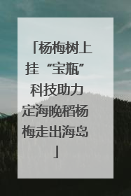 杨梅树上挂“宝瓶” 科技助力定海晚稻杨梅走出海岛
