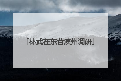 林武在东营滨州调研