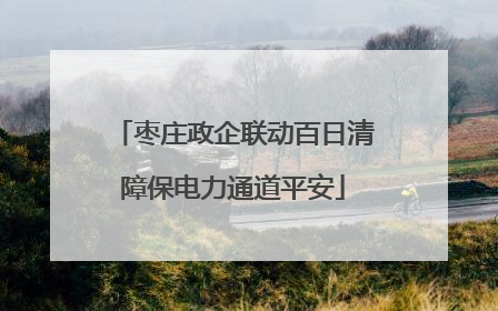 枣庄政企联动百日清障保电力通道平安
