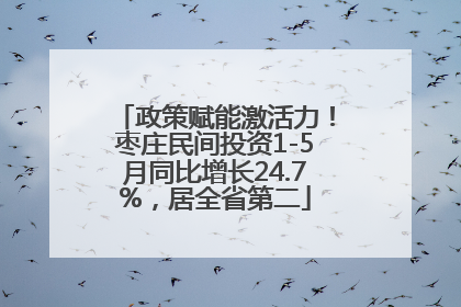 政策赋能激活力！枣庄民间投资1-5月同比增长24.7%，居全省第二