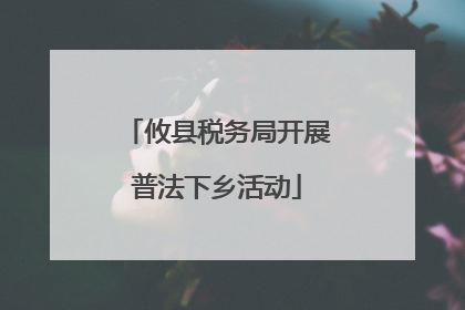 攸县税务局开展普法下乡活动