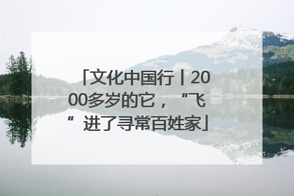 文化中国行丨2000多岁的它，“飞”进了寻常百姓家