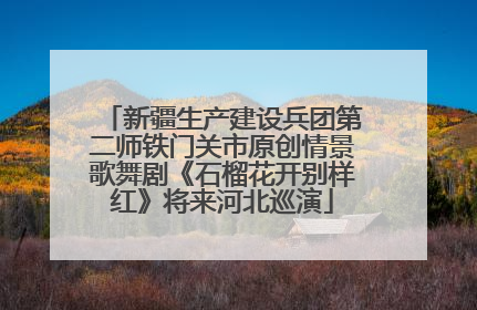 新疆生产建设兵团第二师铁门关市原创情景歌舞剧《石榴花开别样红》将来河北巡演