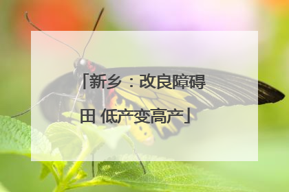 新乡：改良障碍田 低产变高产