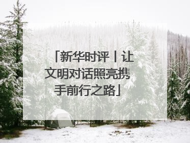新华时评丨让文明对话照亮携手前行之路