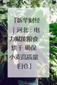 新华财经｜河北：电力赋能粮食烘干 确保小麦高质量归仓